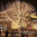 LED سلسلة أضواء في الهواء الطلق